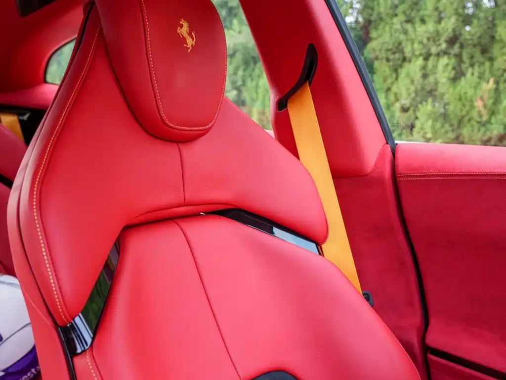 صورة 18 - Ferrari Purosangue