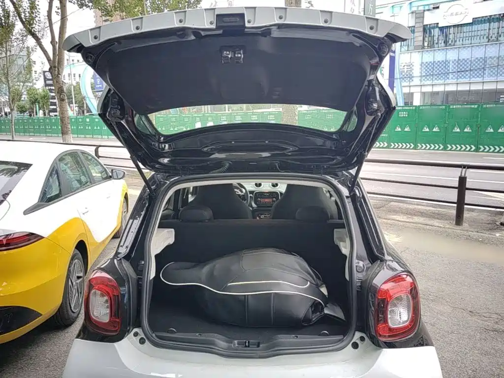smart forfour 2019 2018 1.0L 52kW Agile Edition