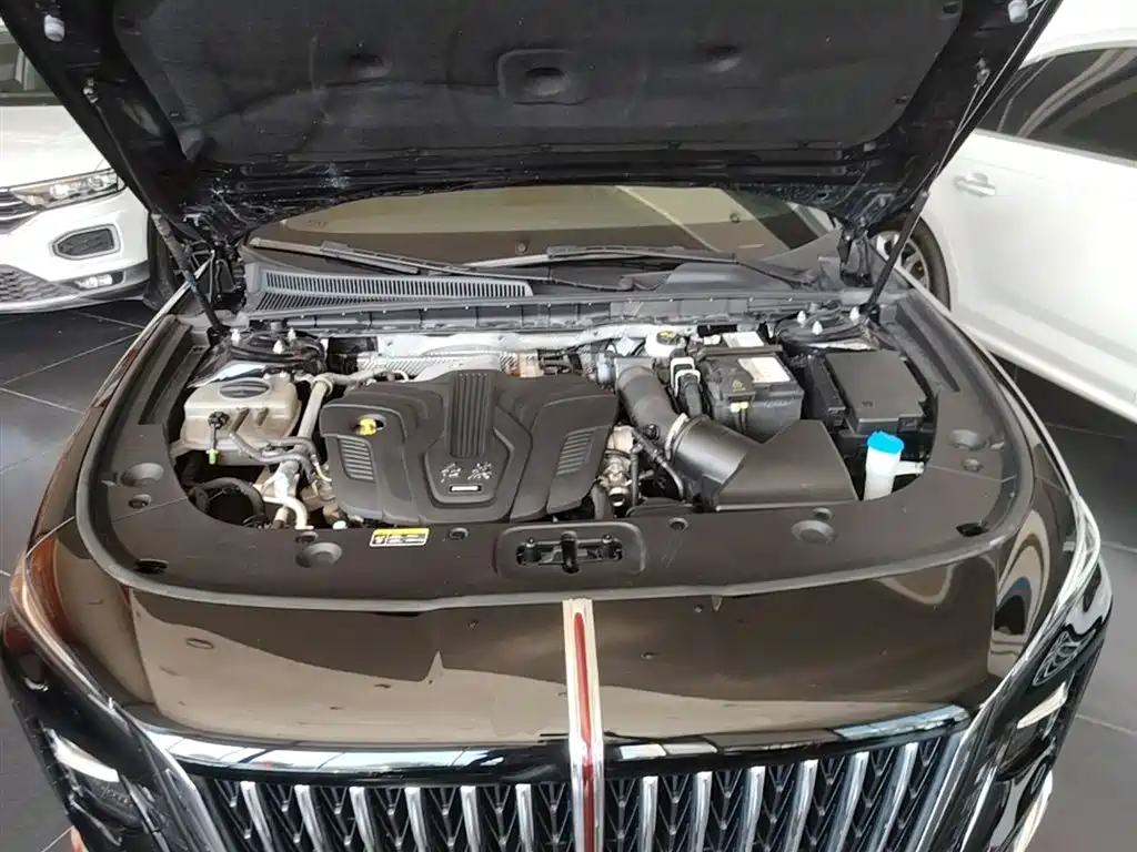 Hongqi H5 2024 2.0T Automatic Smart Connect Flag Smooth Edition фото 20