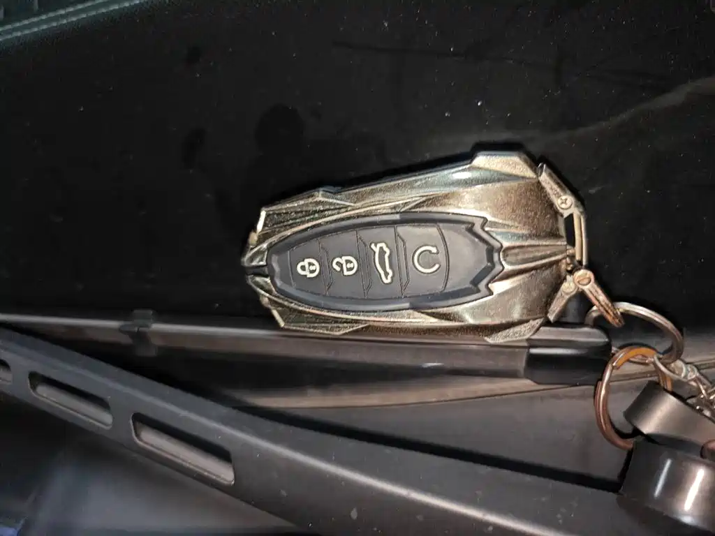 Hongqi H9 2020 2.0T Smart Connection Qi Chang Edition фото 17