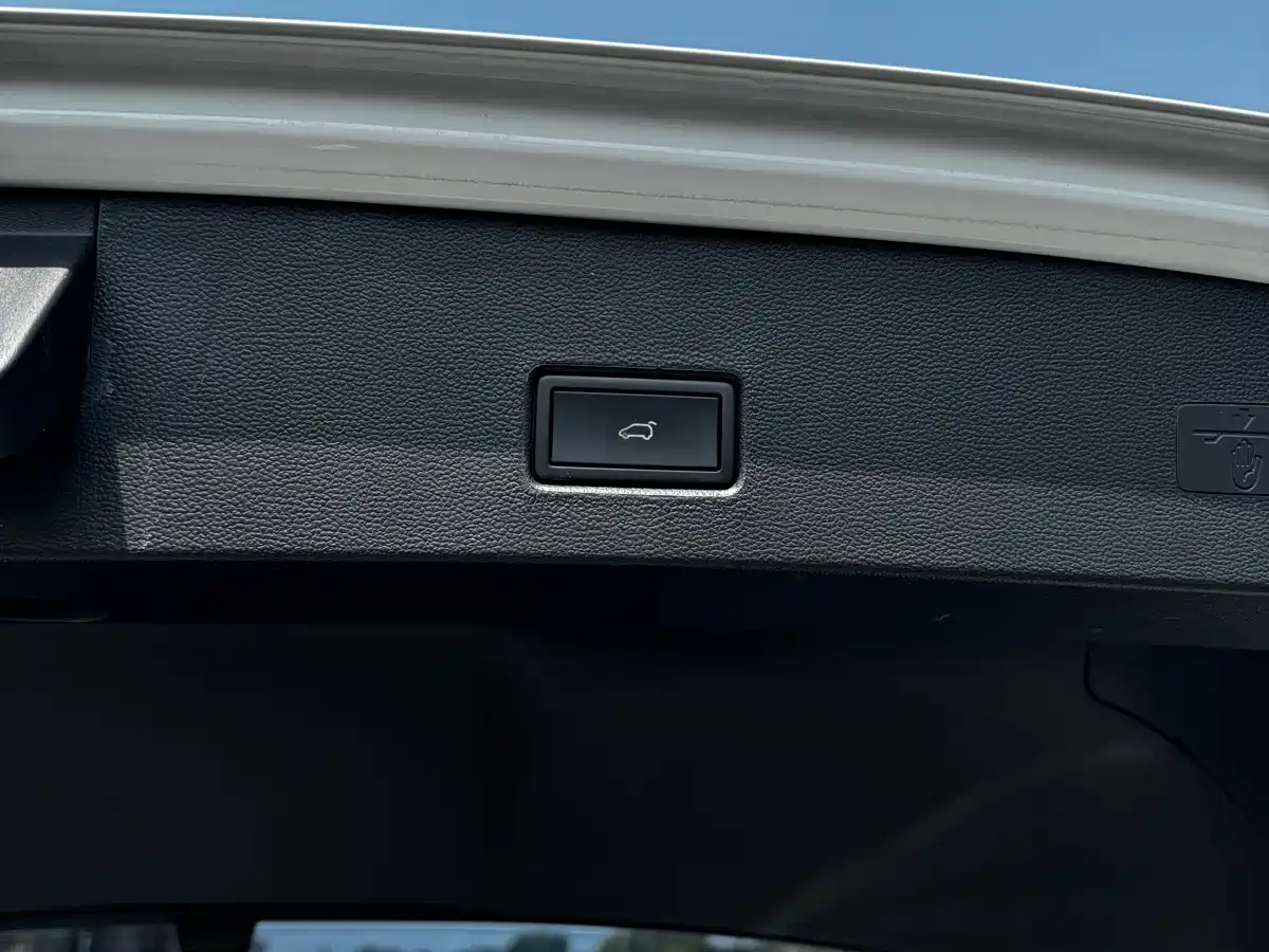 Volkswagen T-ROC 2023 300TSI DSG 2WD Dawn Edition фото 22
