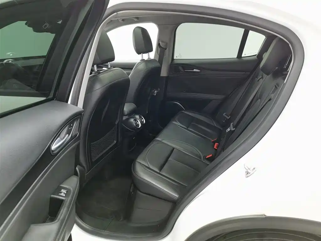 Alfa Romeo Stelvio 2017 2.0T 200HP Elite фото 15