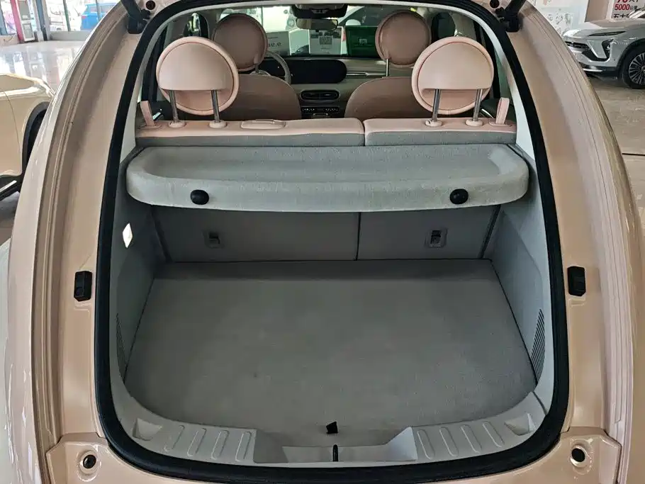 Ora Ballet Cat 2025 2023 401km Premium Model
