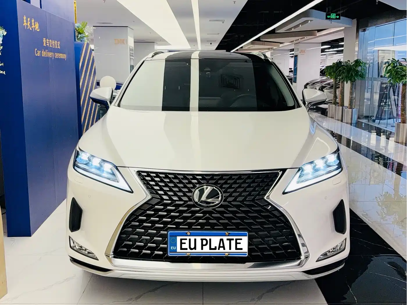 Lexus RX 2020 Facelift 300 AWD Elegance Edition фото 2