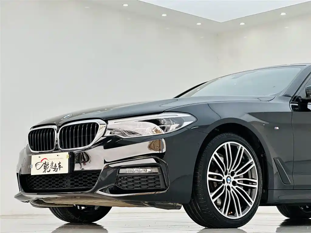 BMW 5 Series 2019 530Li Premium M Sport Package фото 8
