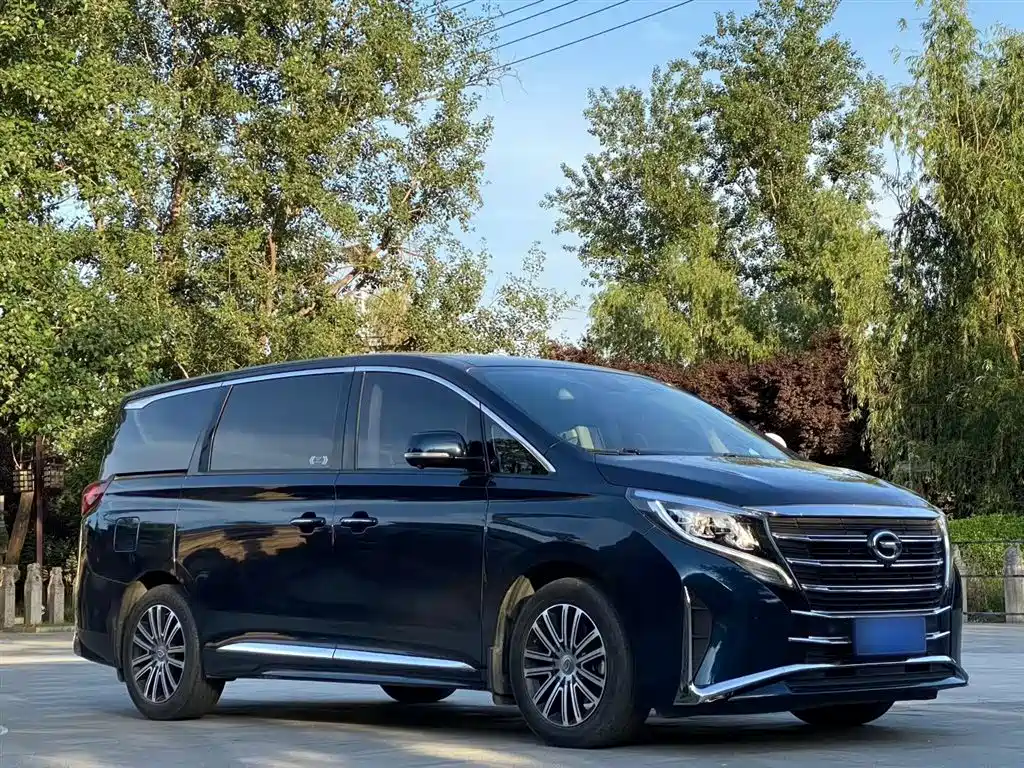 GAC Trumpchi Trumpchi M8 2021 Leading Show Series 390T Ultimate Edition фото 10