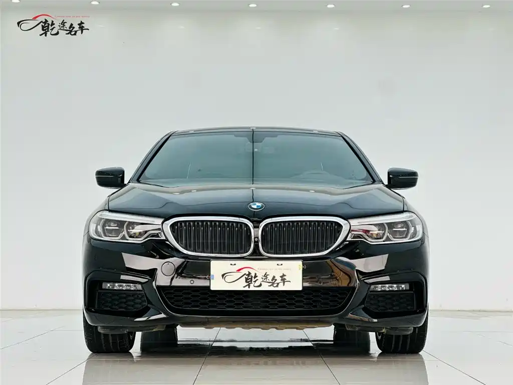 BMW 5 Series 2019 530Li Premium M Sport Package фото 2