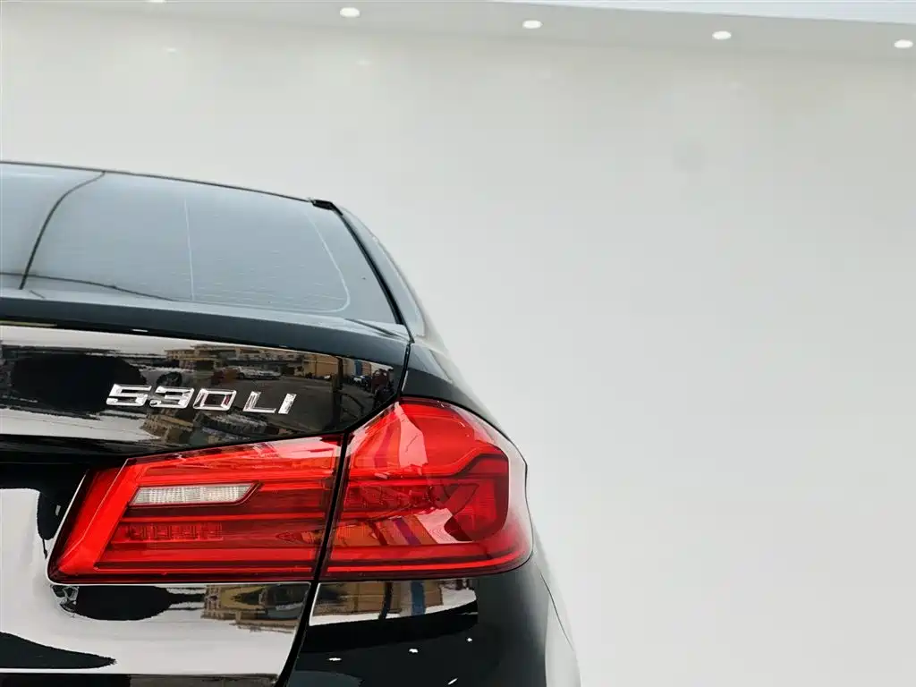 BMW 5 Series 2019 530Li Premium M Sport Package фото 11