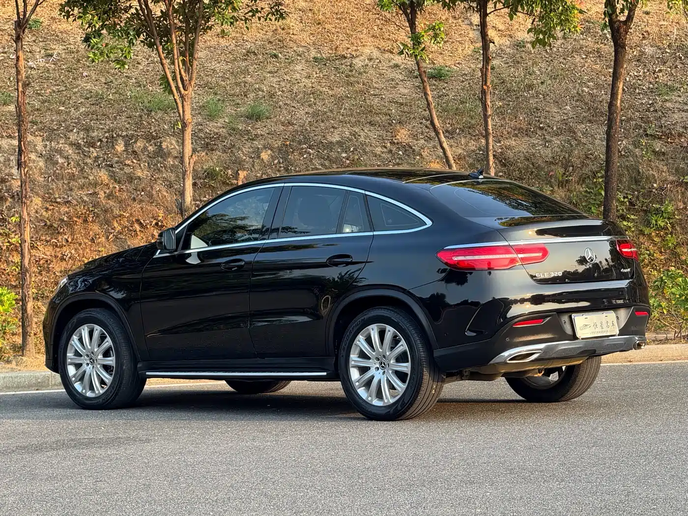 Mercedes-Benz GLE Coupe 2018 GLE 320 4MATIC Coupe SUV фото 7