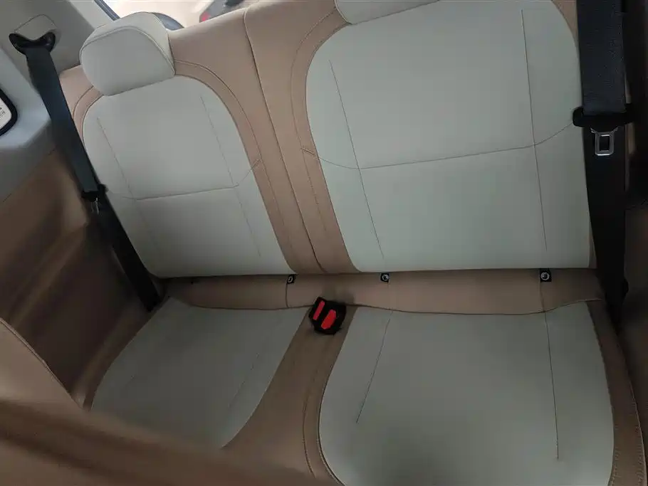 Geely Galaxy Panda 2024 Panda mini 200km Endurance Bear фото 11
