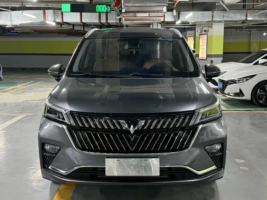 Wuling Motors Wuling Jiachen 2023 2022 1.5T CVT Exclusive Flagship Model