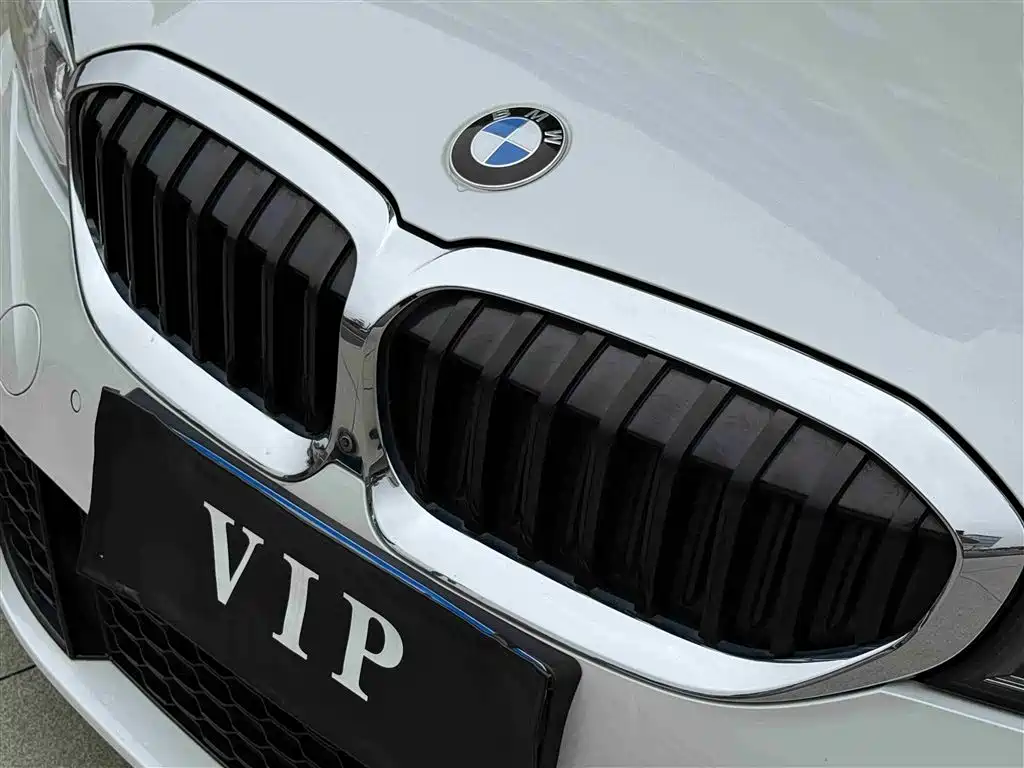 BMW 3 Series 2021 325Li M Sport Package фото 16