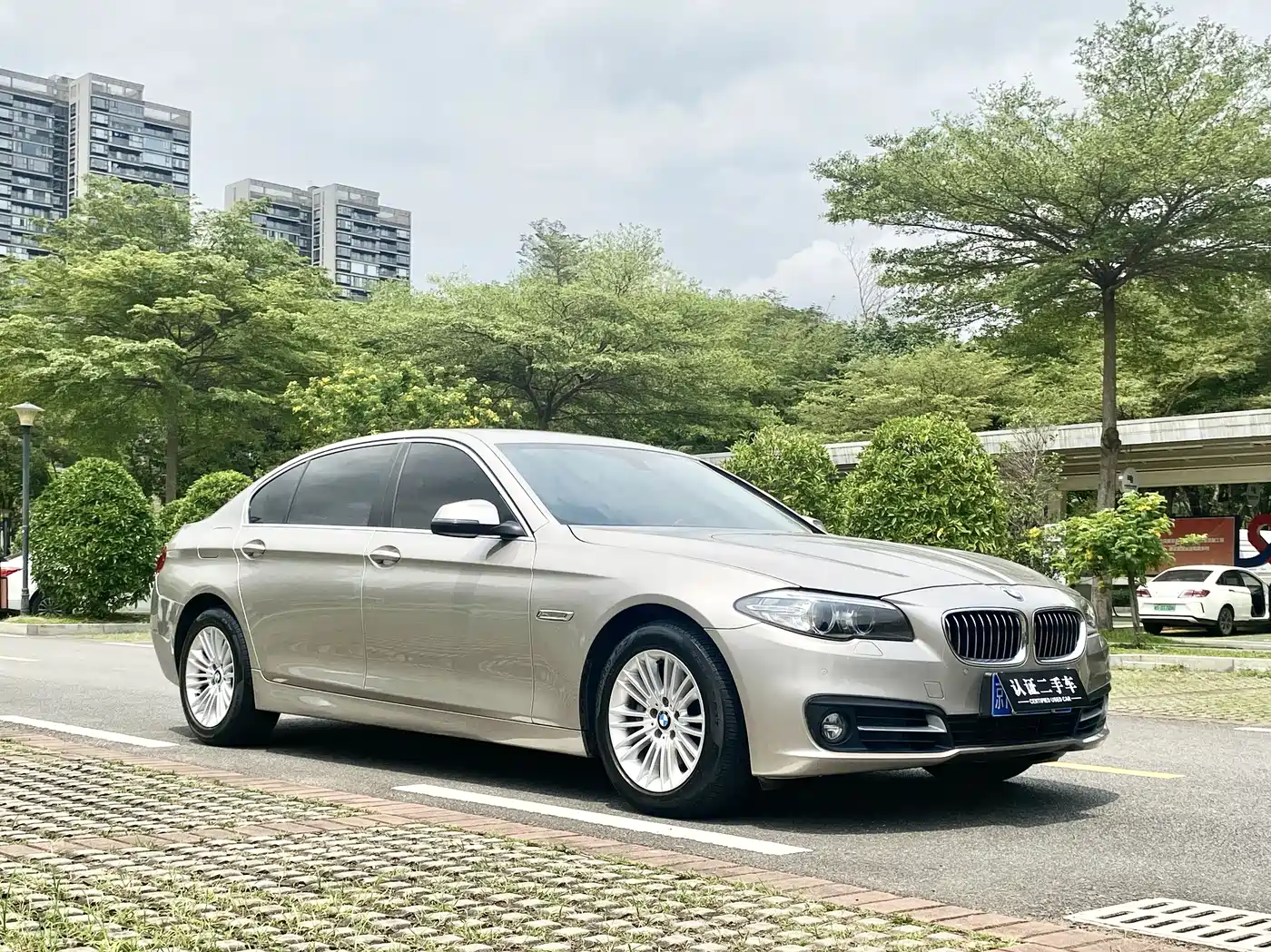 BMW 5 Series 2014 525Li Leading фото 3