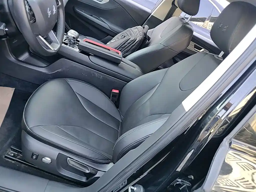 Hongqi E-QM5 2023 620km PLUS фото 14