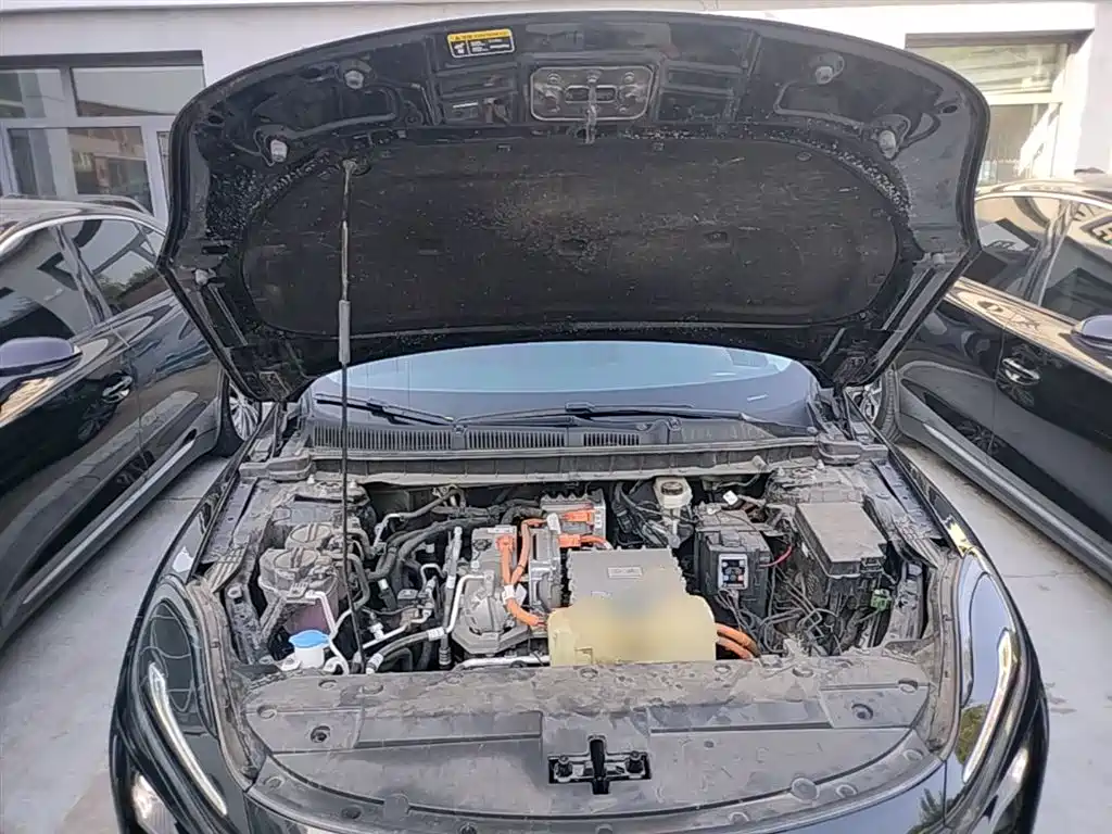Hongqi E-QM5 2023 620km PLUS фото 19