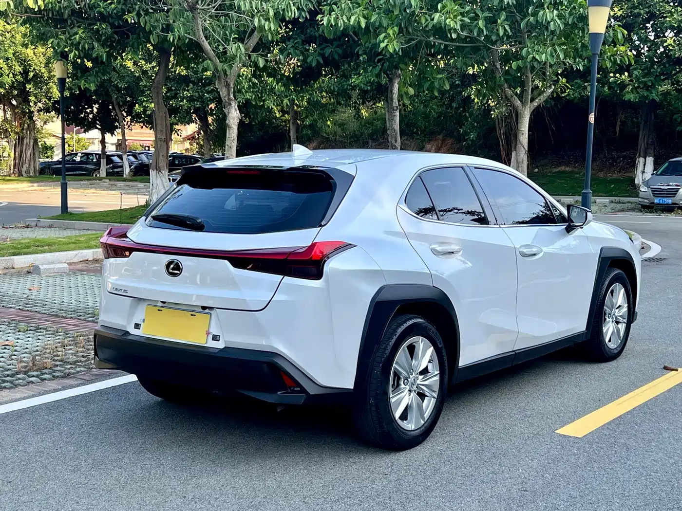 Lexus UX 2020 200 Special Edition фото 6