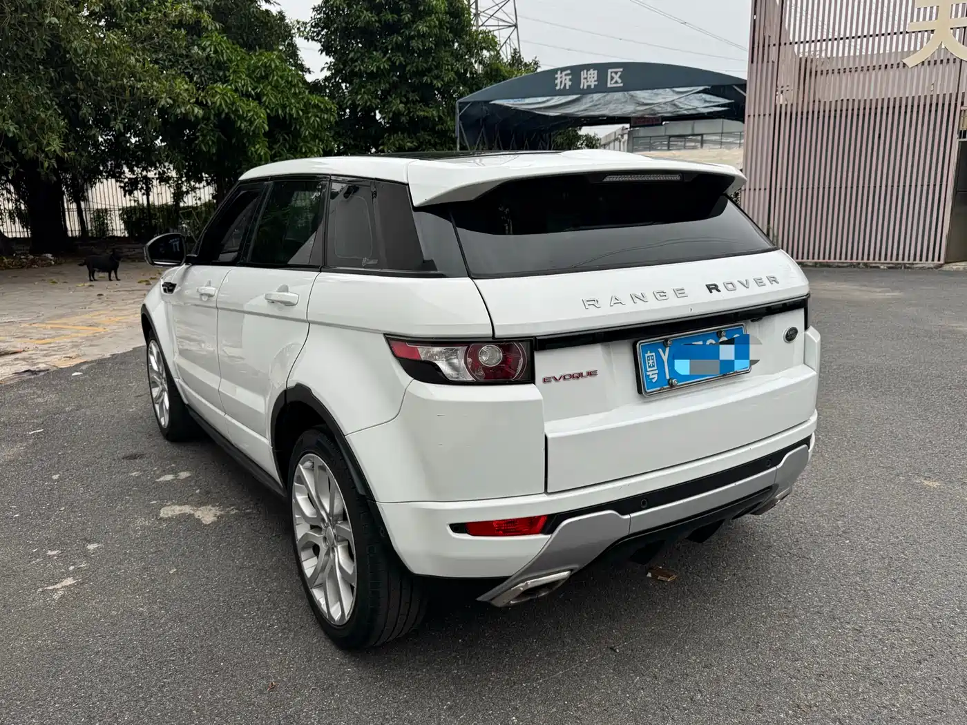 Land Rover Range Rover Evoque (Import) 2015 2.0T 5-door Dynamic Edition фото 6