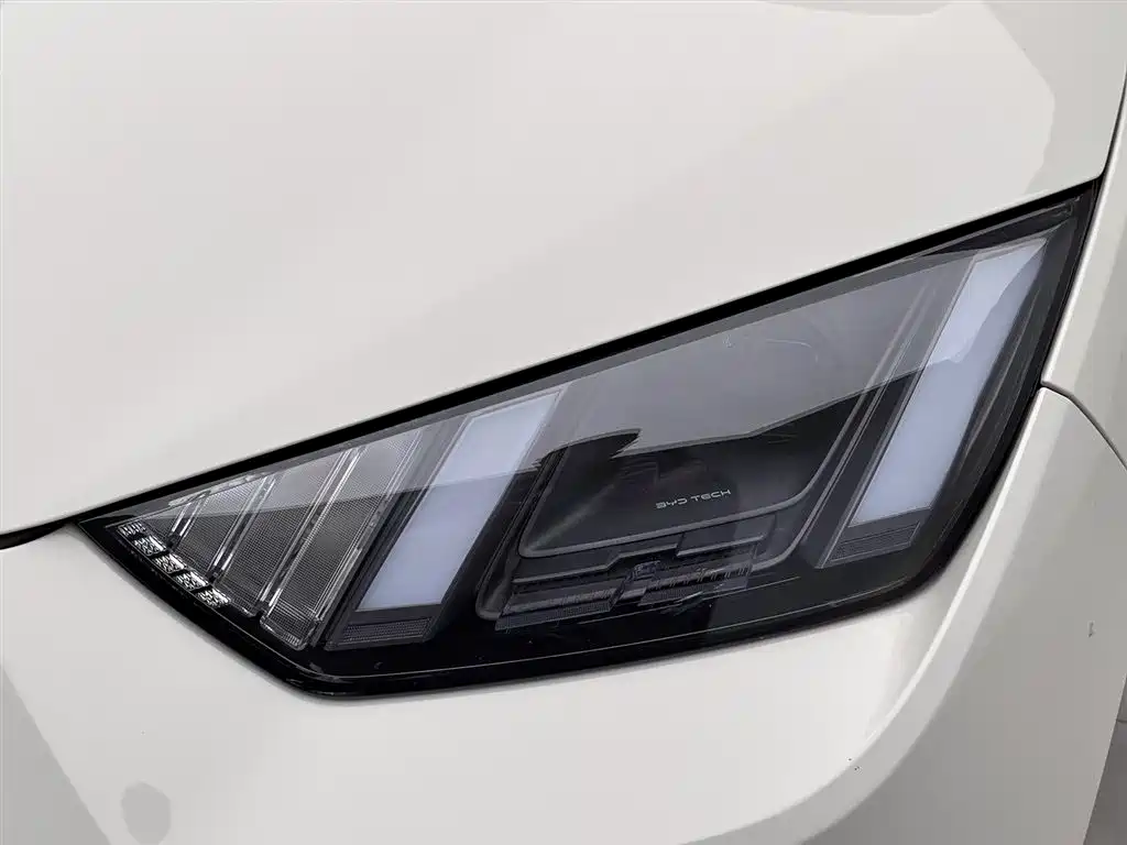 BYD Seagull 2025 Smart Drive Edition 305km Freedom Version фото 7