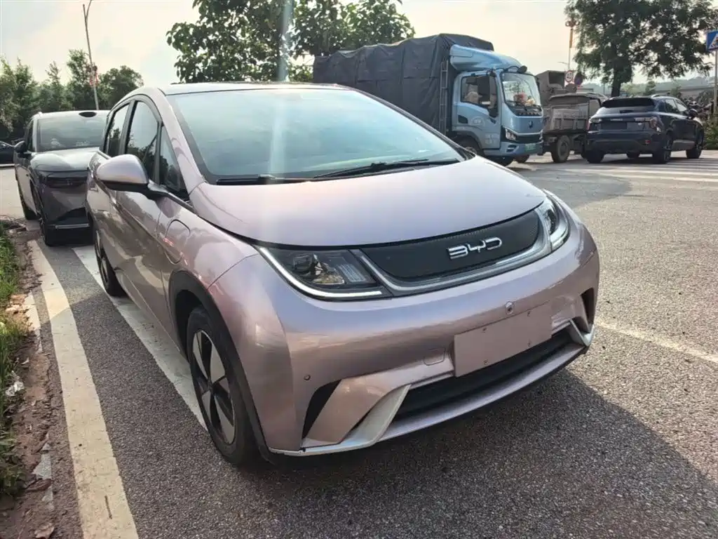 BYD Dolphin 2023 420km Fashion Edition фото 22