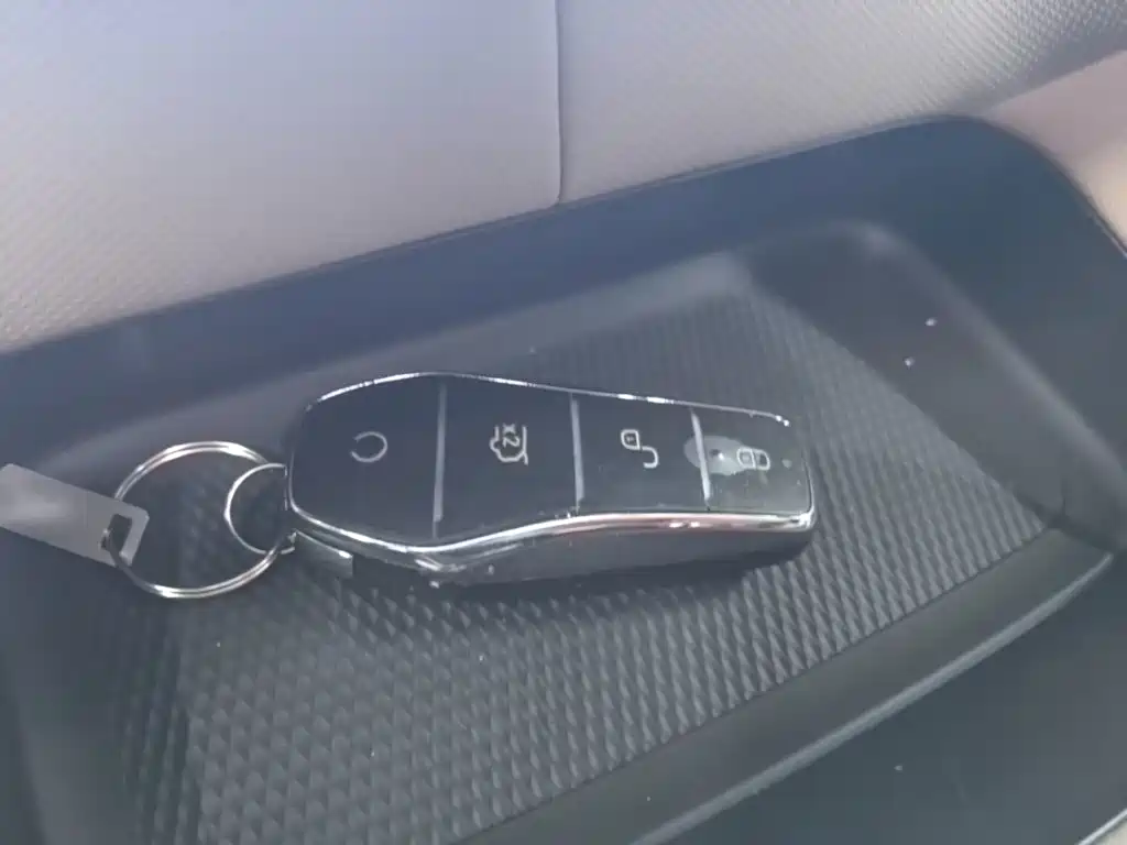 BYD Dolphin 2026 2025 420km Freedom Edition