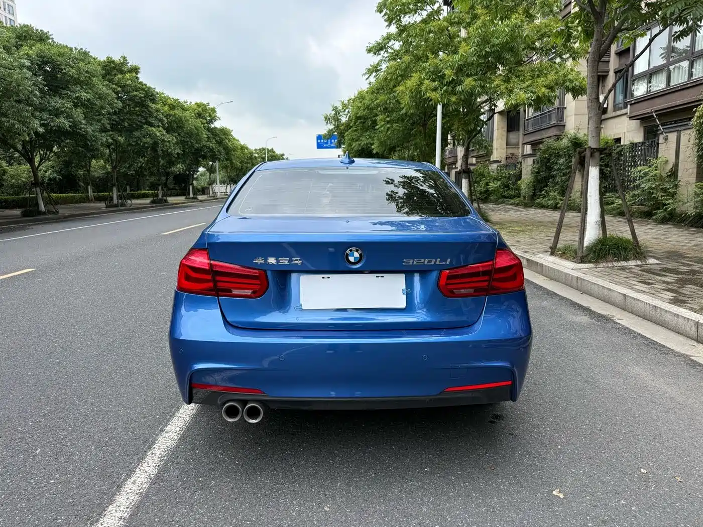 BMW 3 Series 2019 320Li M Luxury Package фото 9
