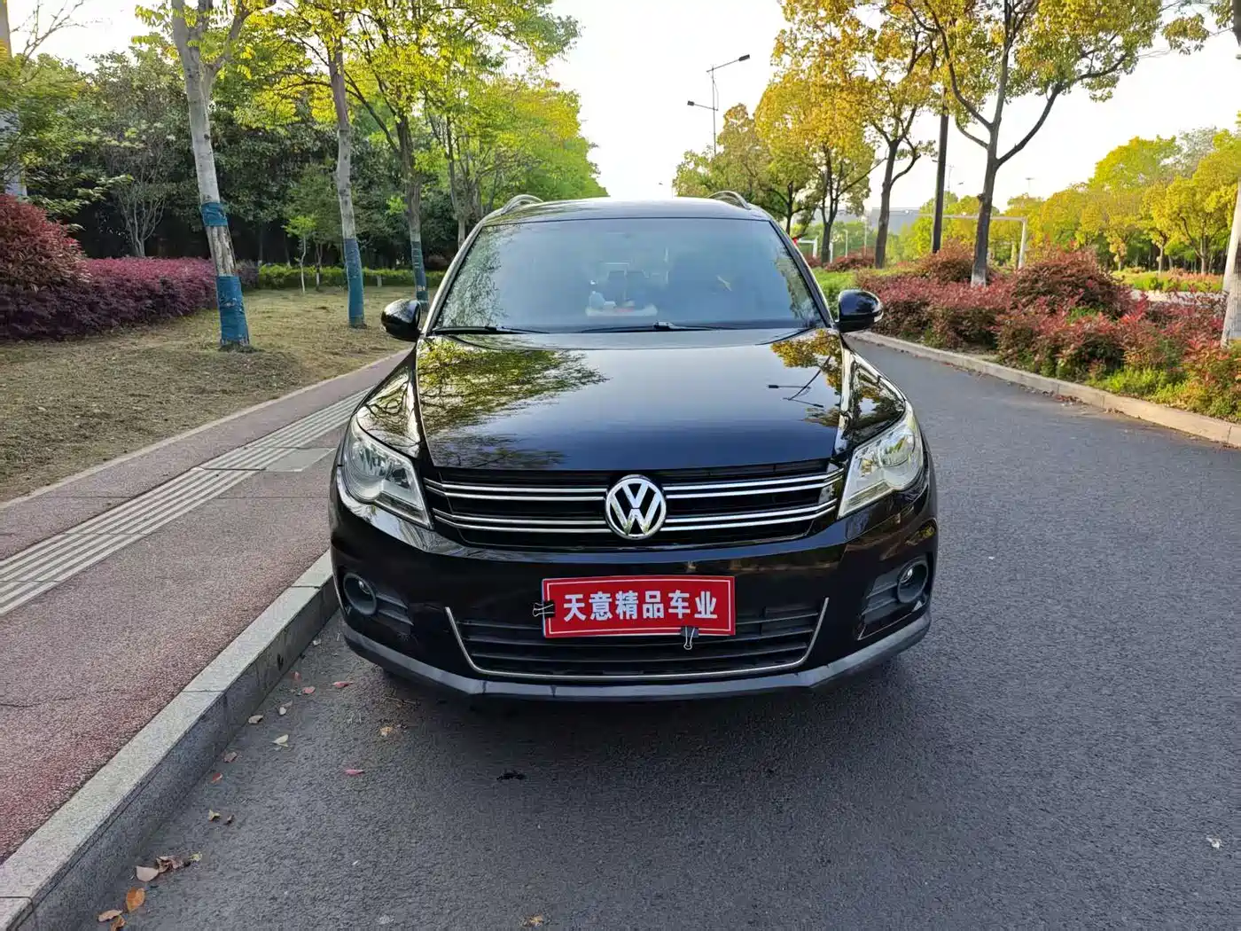 Volkswagen Tiguan 2012 1.8TSI Automatic 2WD Trend Edition фото 2