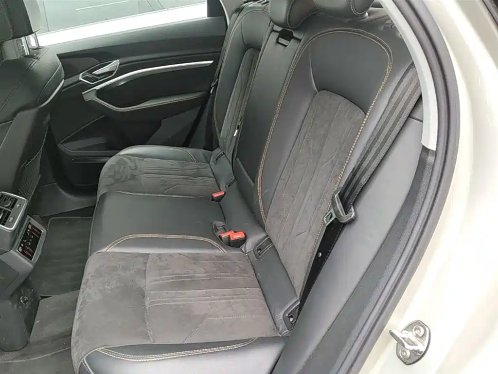 Audi e-tron 2021 50 quattro Exclusive Selection фото 24