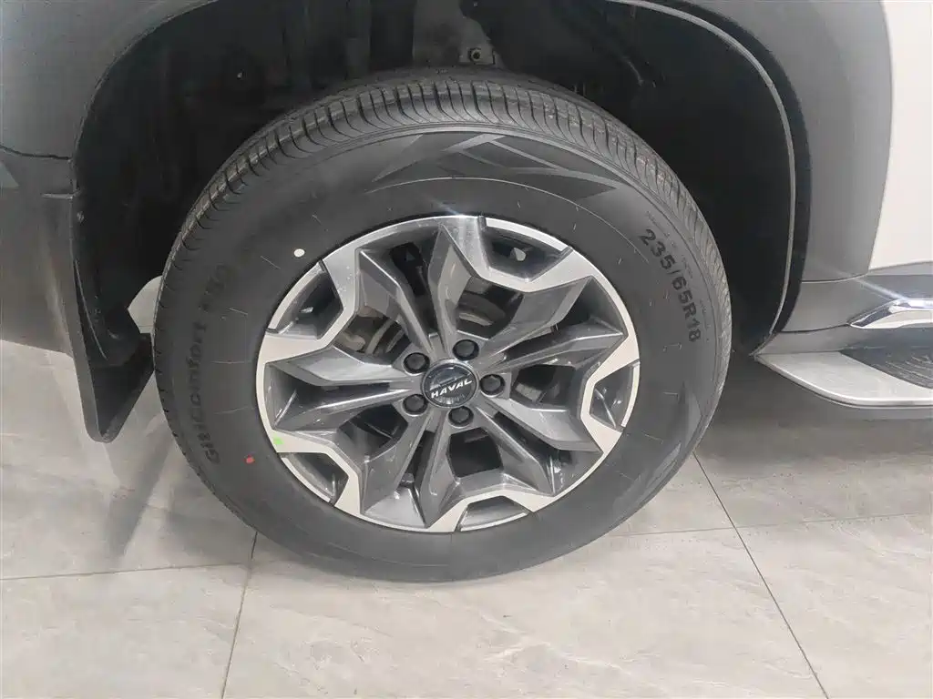 Haval Big Dog 2021 2.0T DCT 4WD Chinese Rural Dog Edition фото 21
