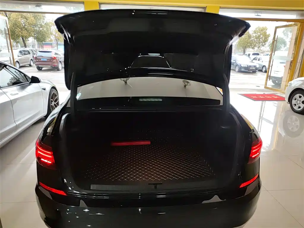 Volkswagen Passat 2019 330TSI Luxury Edition China VI фото 19