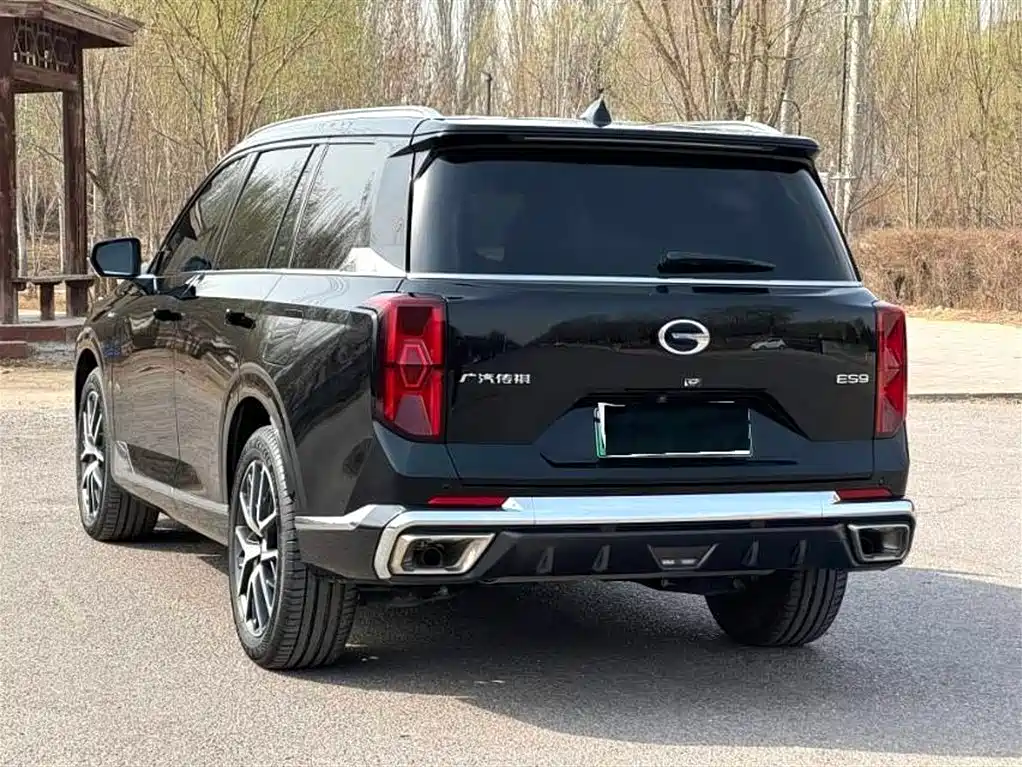 GAC Trumpchi Trumpchi ES9 2024 PHEV 143km Pro+ фото 4