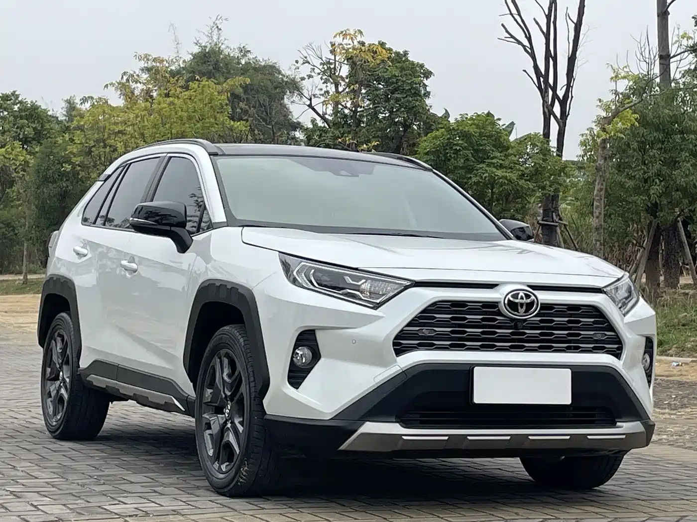 Toyota RAV4 Rongfang 2022 2.0L CVT 4WD Premium Edition фото 4