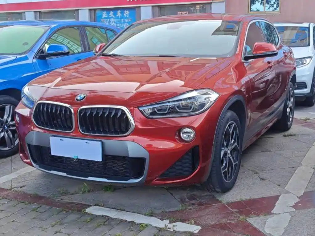 BMW X2 (Import) 2019 2019 sDrive20i M Off-Road Package China VI