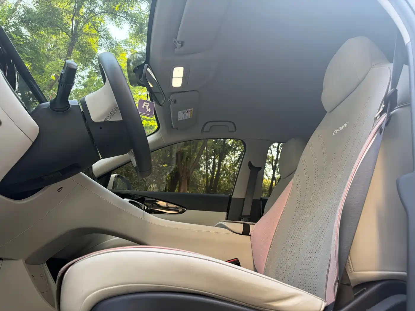 Geely Galaxy Starry Wish 2025 2025 310km Youth Edition