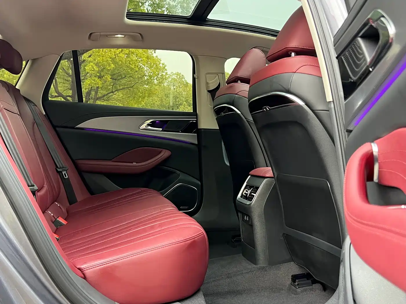 Hongqi H5 2023 2.0T Auto Smart Connect Flag Comfort фото 13
