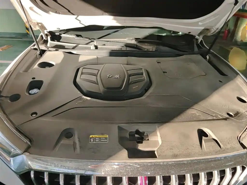 Hongqi HS5 2019 2.0T Smart Connect Enjoy Edition фото 11