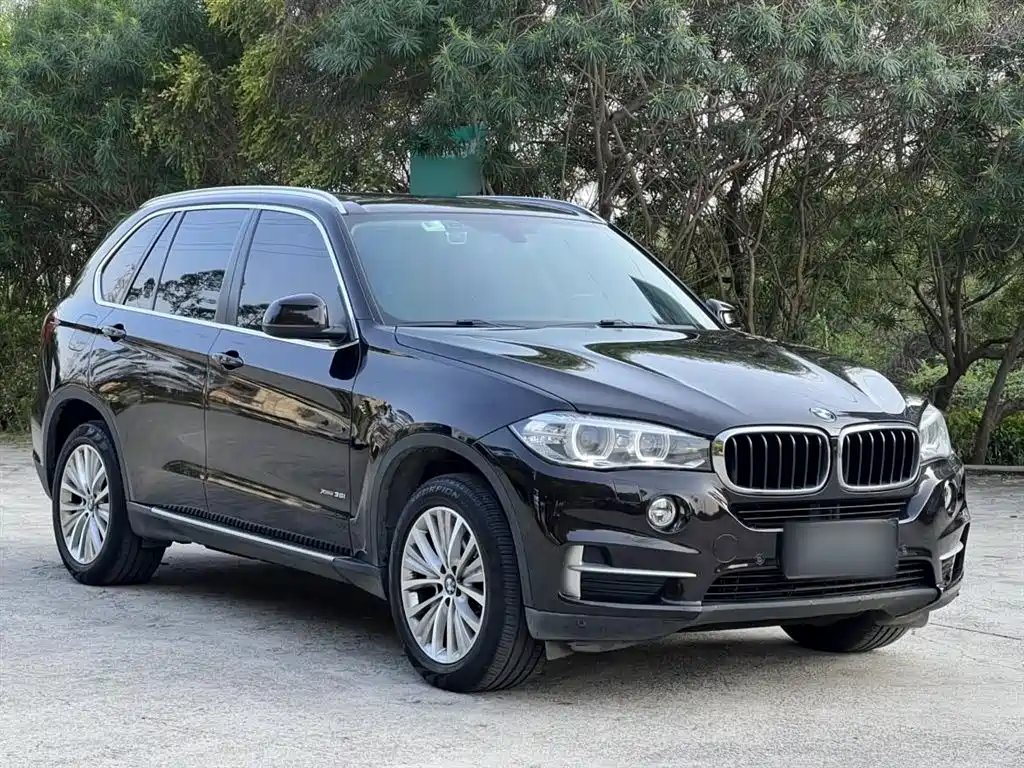 BMW X5 (Import) 2014 xDrive35i Leading фото 11