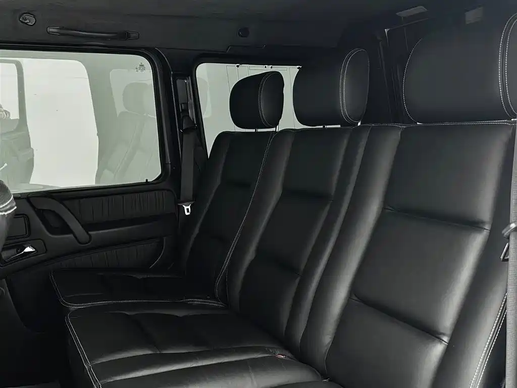 Mercedes-Benz G-Class AMG 2009 AMG G 55 фото 13