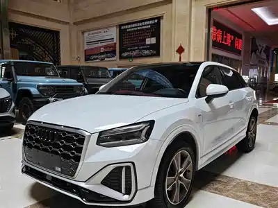 Audi Q2L