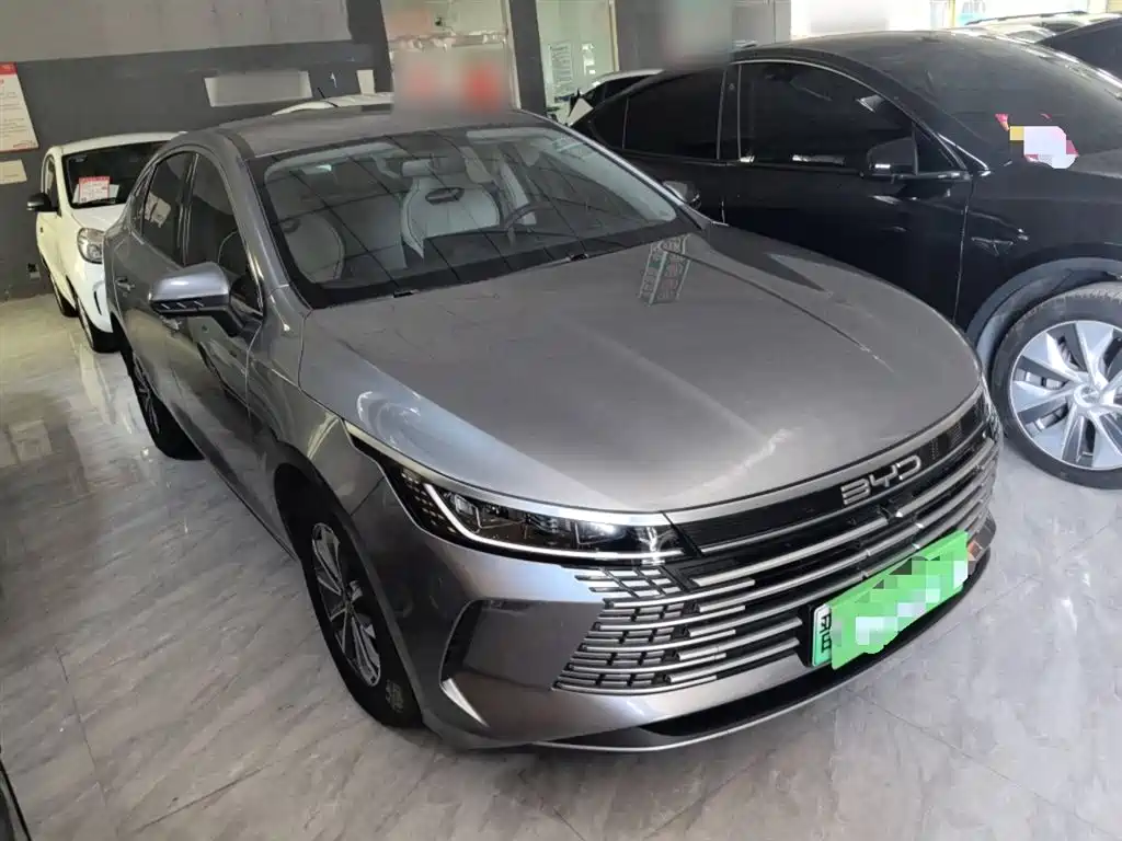 BYD Destroyer 05 2024 Glory Edition DM-i 55KM Luxury фото 22