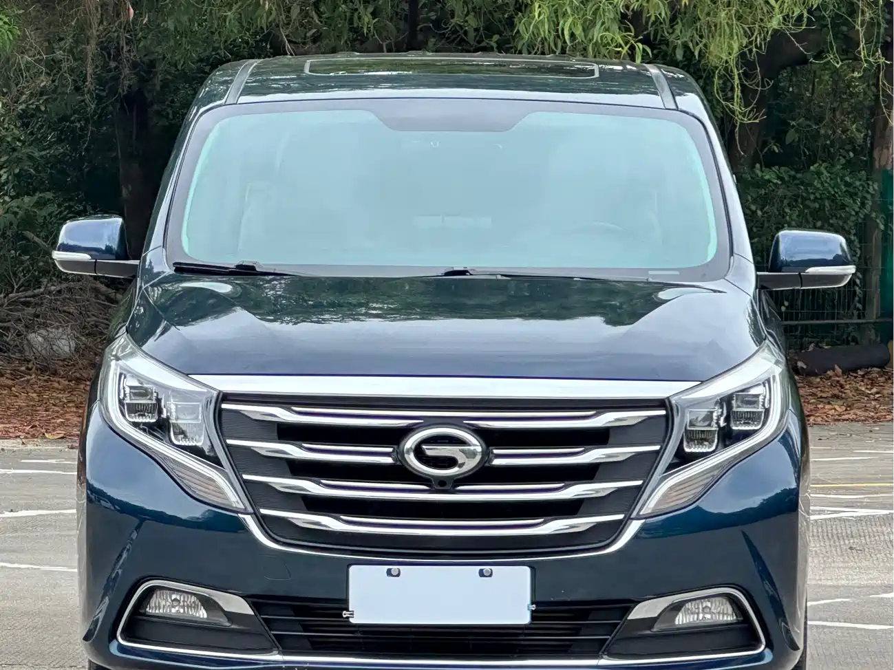 GAC Trumpchi Trumpchi M8 2018 320T Luxury Edition фото 2