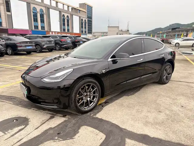 TESLA MODEL 3 2021