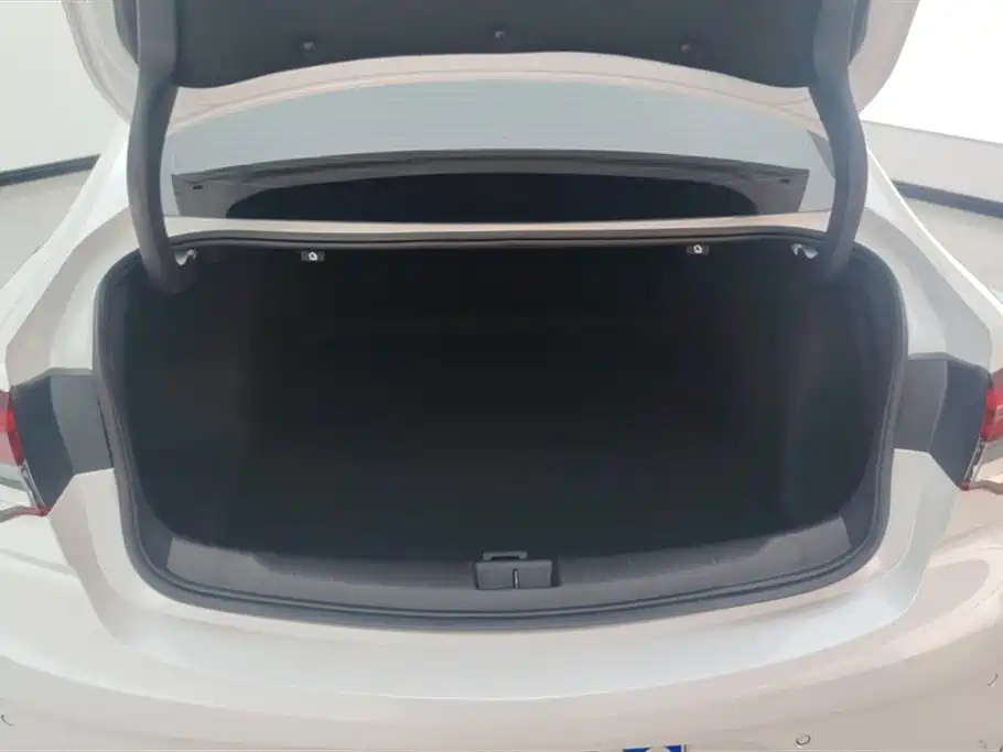 Buick Regal 2024 25T Ultra Comfort Edition фото 4