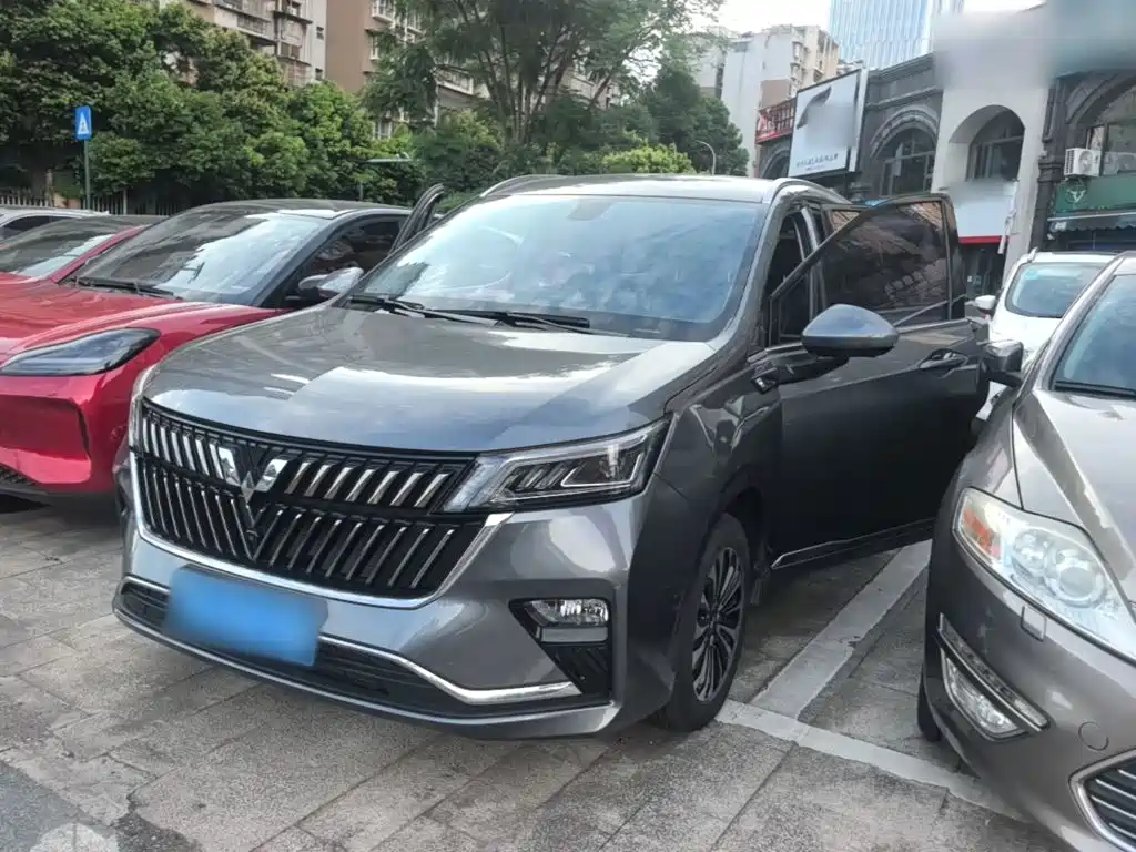 Wuling Motors Wuling Jiachen 2024 2022 1.5T CVT Exclusive Flagship Model