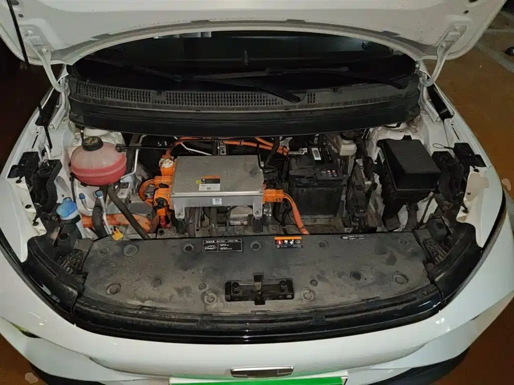 Geely Geometry E Firefly 2022 2022 401KM Thunder Tiger 4-Seater