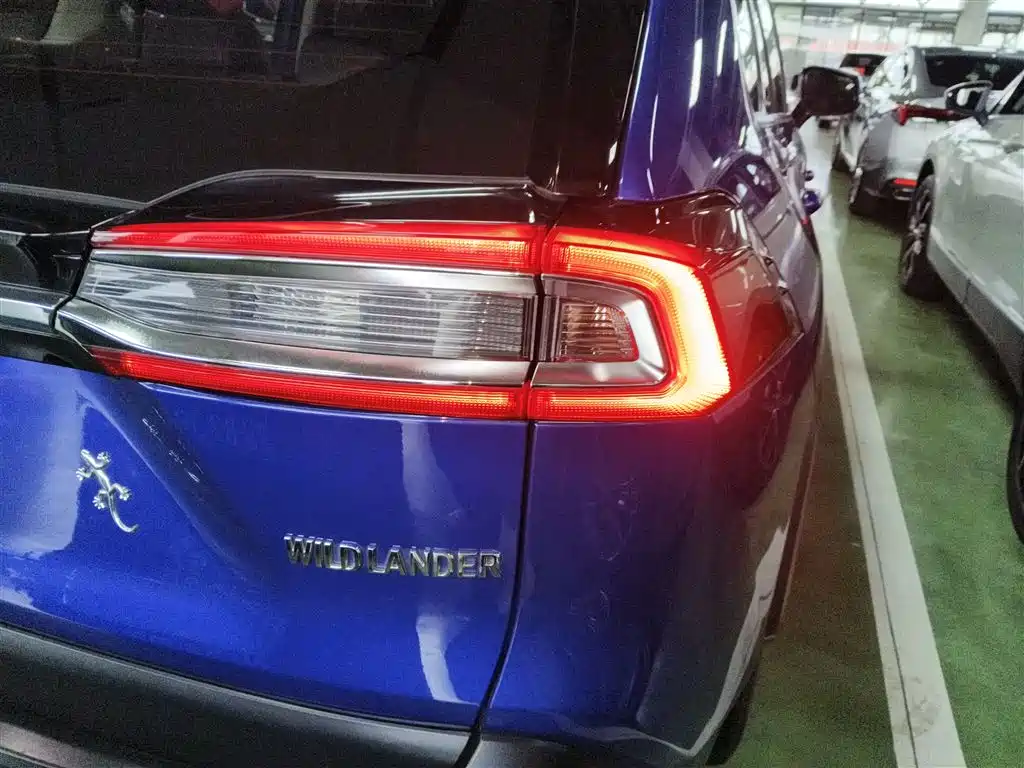 Toyota Wildlander 2020 2.0L CVT 2WD Luxury Edition фото 8