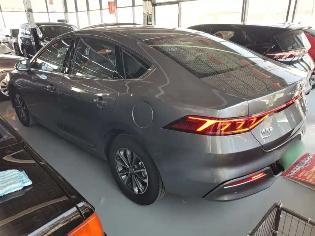 BYD Qin PLUS 2024 Glory Edition DM-i 55KM Leading фото 5