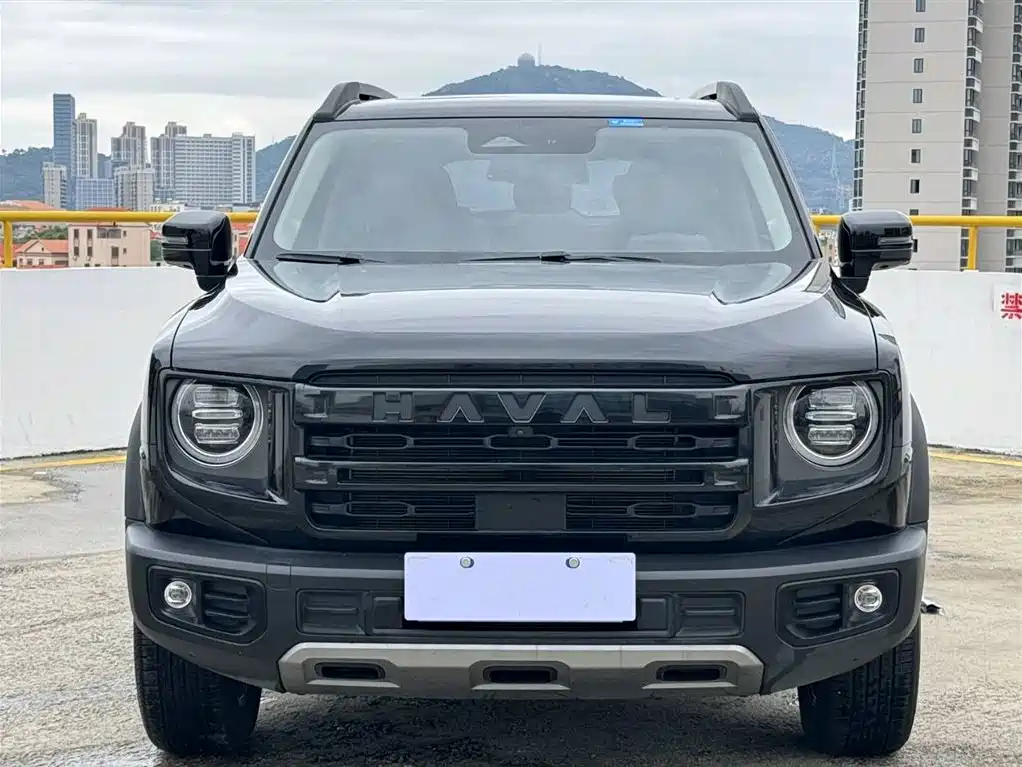 HAVAL BIG DOG
