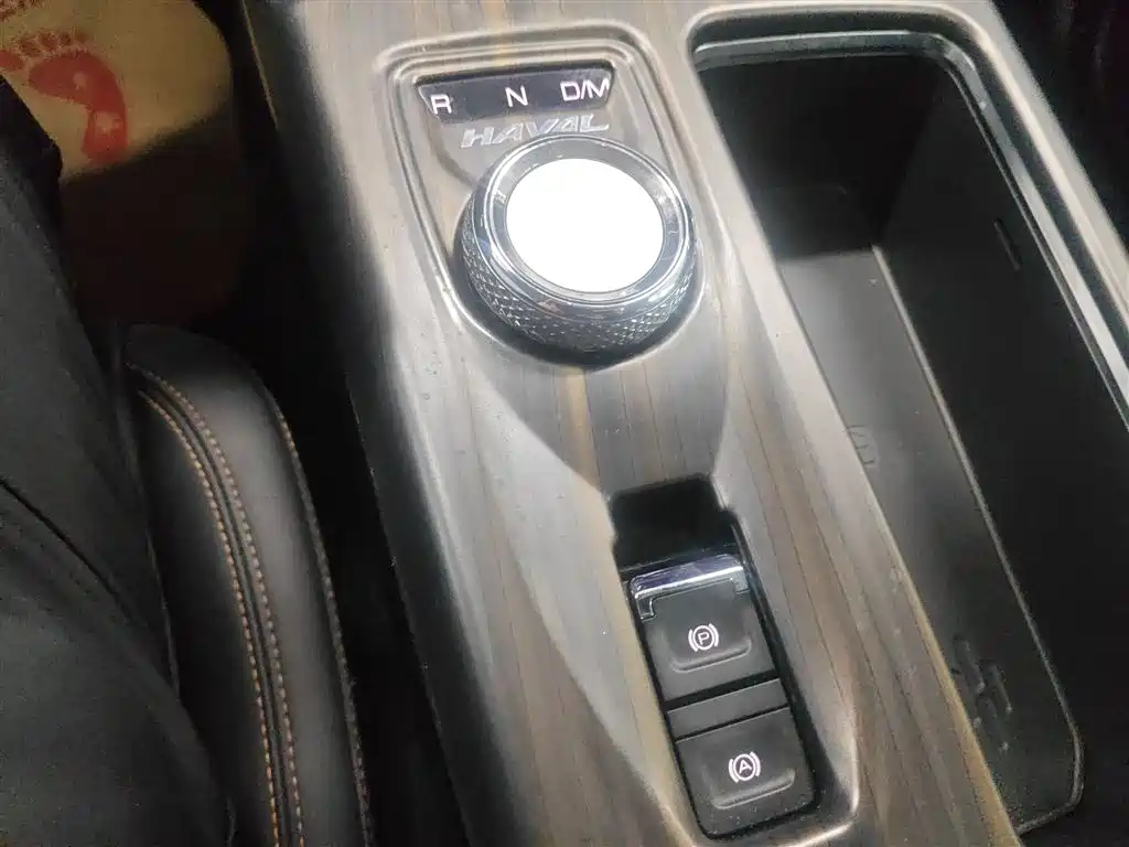 Haval Big Dog 2021 2.0T DCT 4WD Chinese Rural Dog Edition фото 6