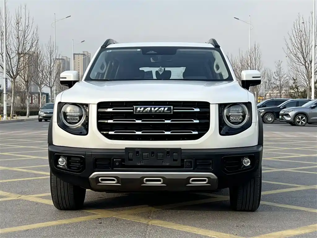 Haval Big Dog 2021 2.0T DCT 4WD Chinese Rural Dog Edition фото 22