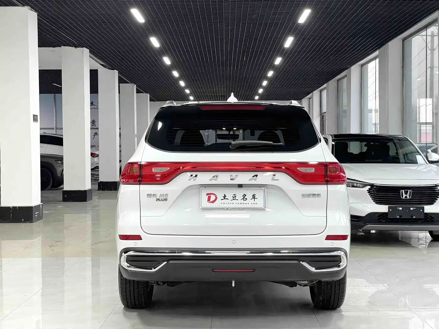 HAVAL M6